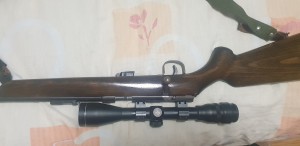 Malokalibarka sa optikom