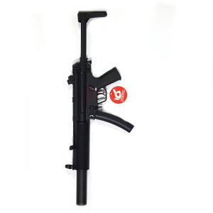 ICS-02 CES SD6