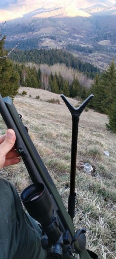 Lovacki karabin STEYR
