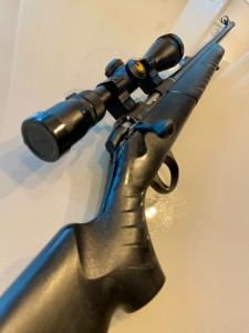 Sako Quad 22 wmr