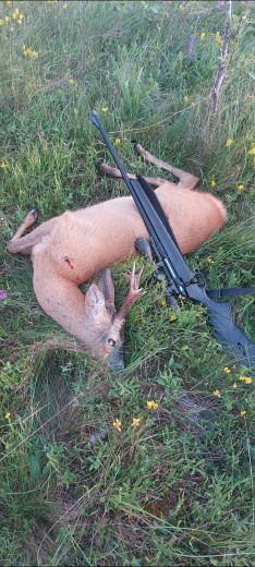 Karabin Monza 308 win