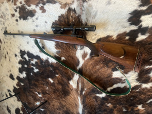 Karabin sa optikom