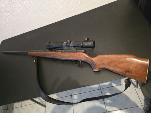 Lovacki karabin .22 hornet