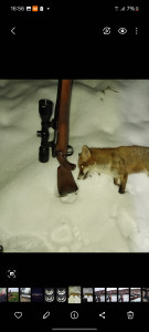 Optika 3-9x40