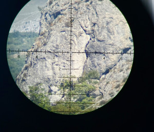 Sako trg 22