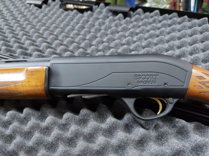 Hatsan escort magnum