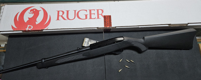 Malokalibarska puška Ruger Semiauto 10/22