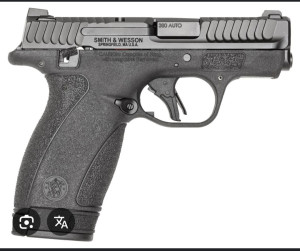 Kupujem Pištolj S&W Bodyguard