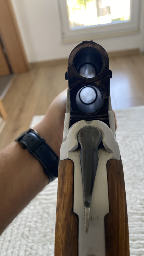 Bokerica 12-ka