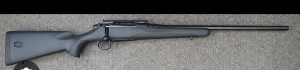 Mauser 308 win.