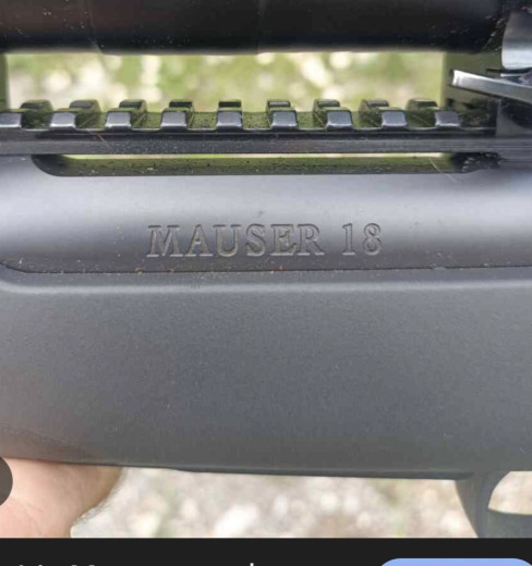 Mauser 308 win.