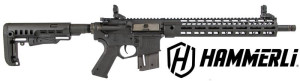 MALOKALIBARSKA PUŠKA HAMMERLI TAC R1