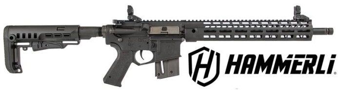 MALOKALIBARSKA PUŠKA HAMMERLI TAC R1