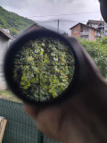 optika zeiss viktory 3-12x56