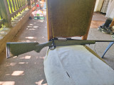 Bergara B14
