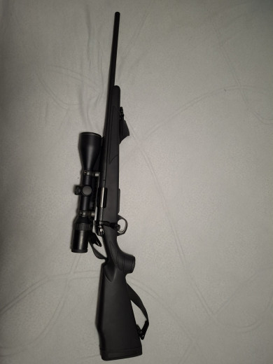 Bergara B14