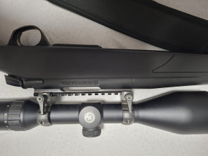 Bergara B14