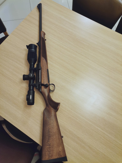 Sauer 100 + pulsar digex n455