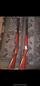 Bokerica IŽ 12 kalibar 12