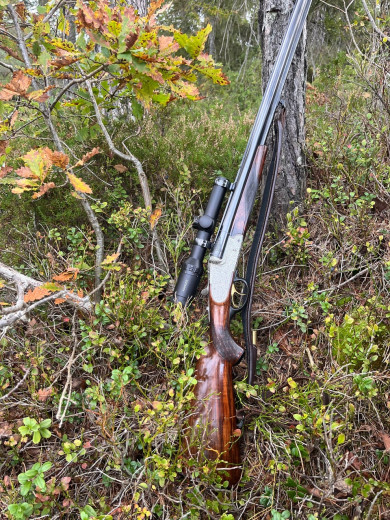 pušku Sauer & Sohn Driling Mod 3000