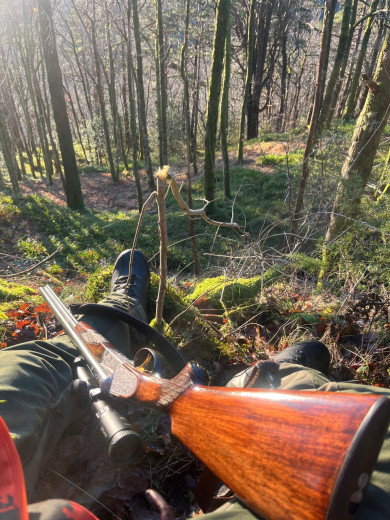 pušku Sauer & Sohn Driling Mod 3000