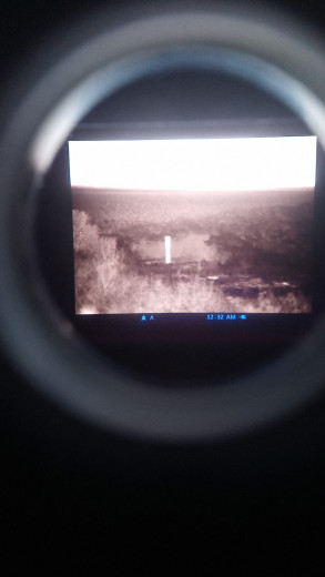 Pulsar Quantum xd50s