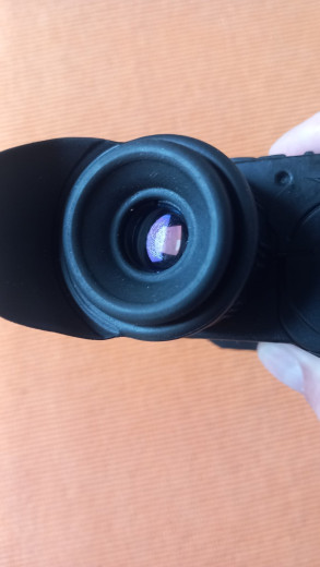 Pulsar Quantum xd50s