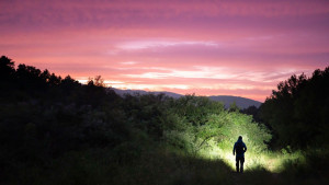 SVJETILJKA LED ARRAY 2S