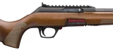 WINCHESTER WILDCAT FIELD SA 22LR
