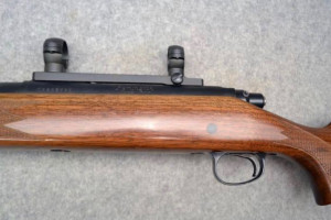 Remington 700 270 WIN. Barrel 22