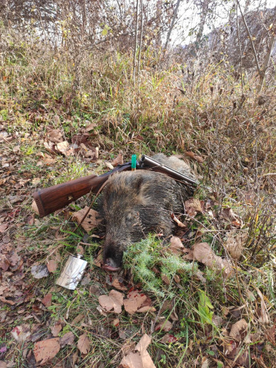 Lovačka puška Zastava Bayard M56