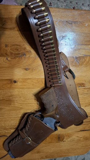 Smith & Wesson  686 Target Champion