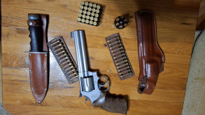 Smith & Wesson  686 Target Champion