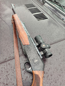 Browning MK3 Hunting gold