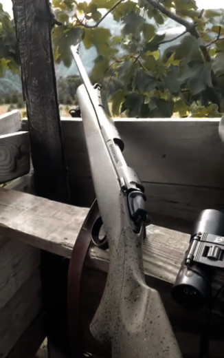 Lovački Karabin bergara sa aimpoint red dotom