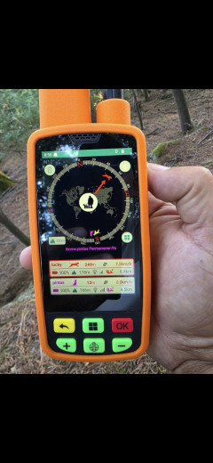 ESSEK ogrlica za pracenje pasa