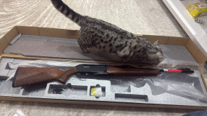 Karabin Winchester SXR2