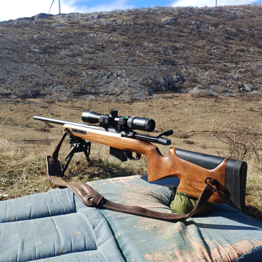 Ata karabin 308