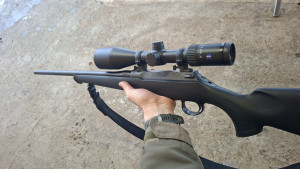 Sauer 100