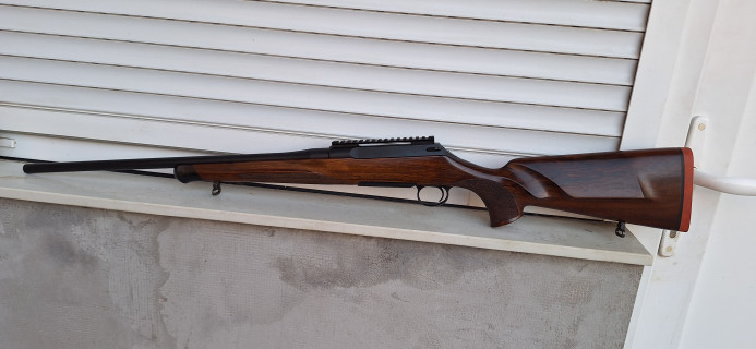 Sauer 100