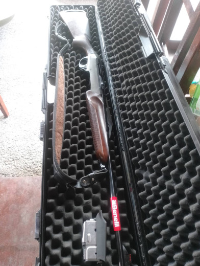 Benelli Argo E pro