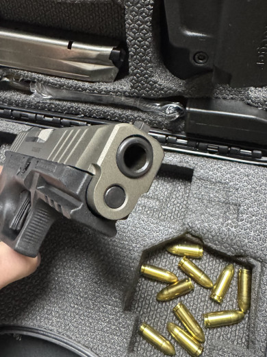 Pištolj Stoeger Stainless cal. 9x19 LUGER