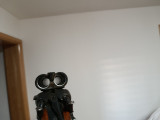 Toz 63 horozuša