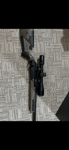 Beneli  lupo HPR