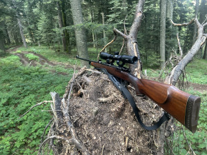 Lovački karabin cz m70 270win