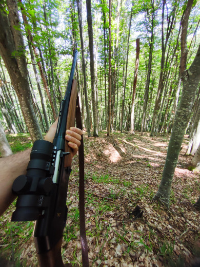 Leupold red dot