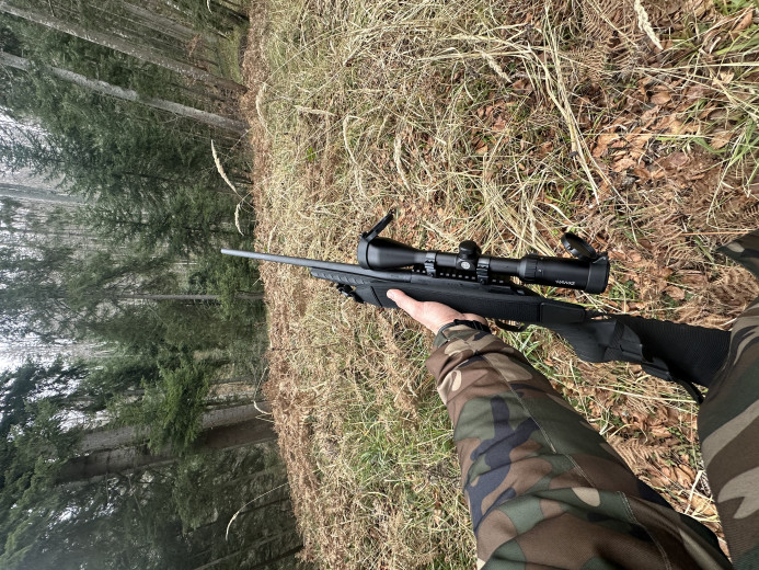 Ruger 308 win