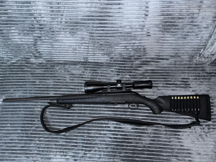 Ruger 308 win