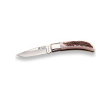 FOLDING KNIFE — Stag Horn