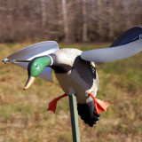Vabilica MOJO Patka